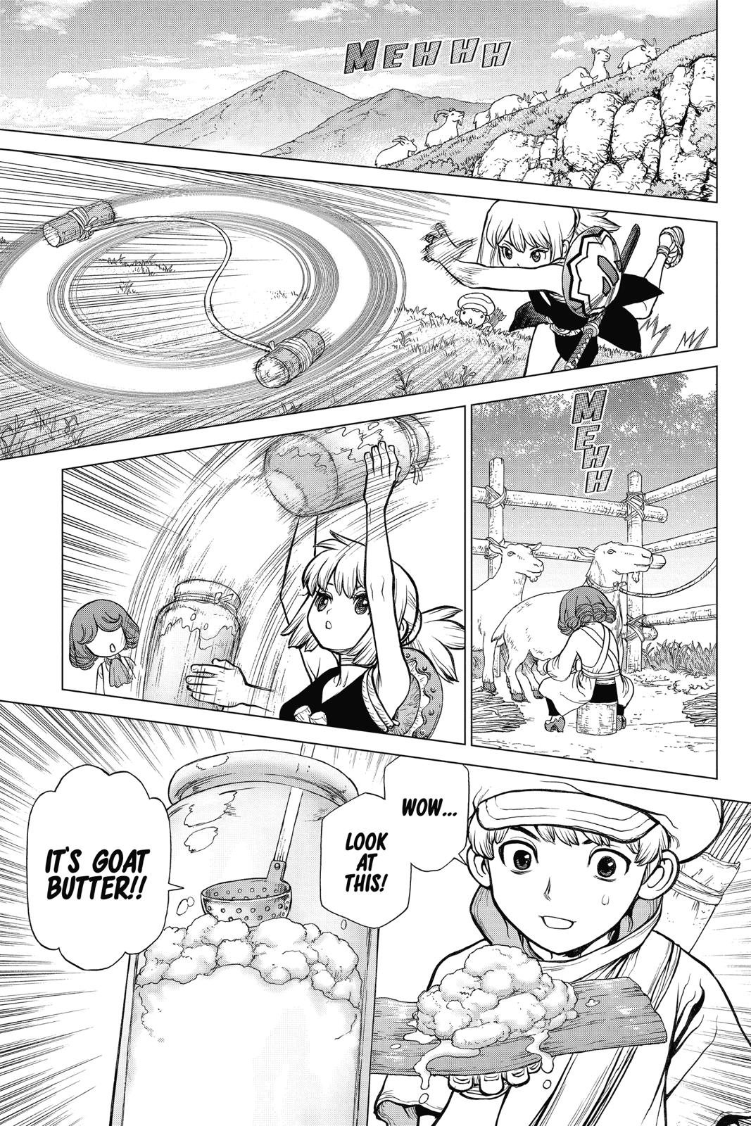 Read Dr. STONE Manga Online