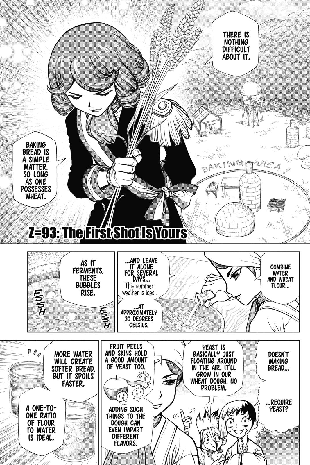 Read Dr. STONE Manga Online