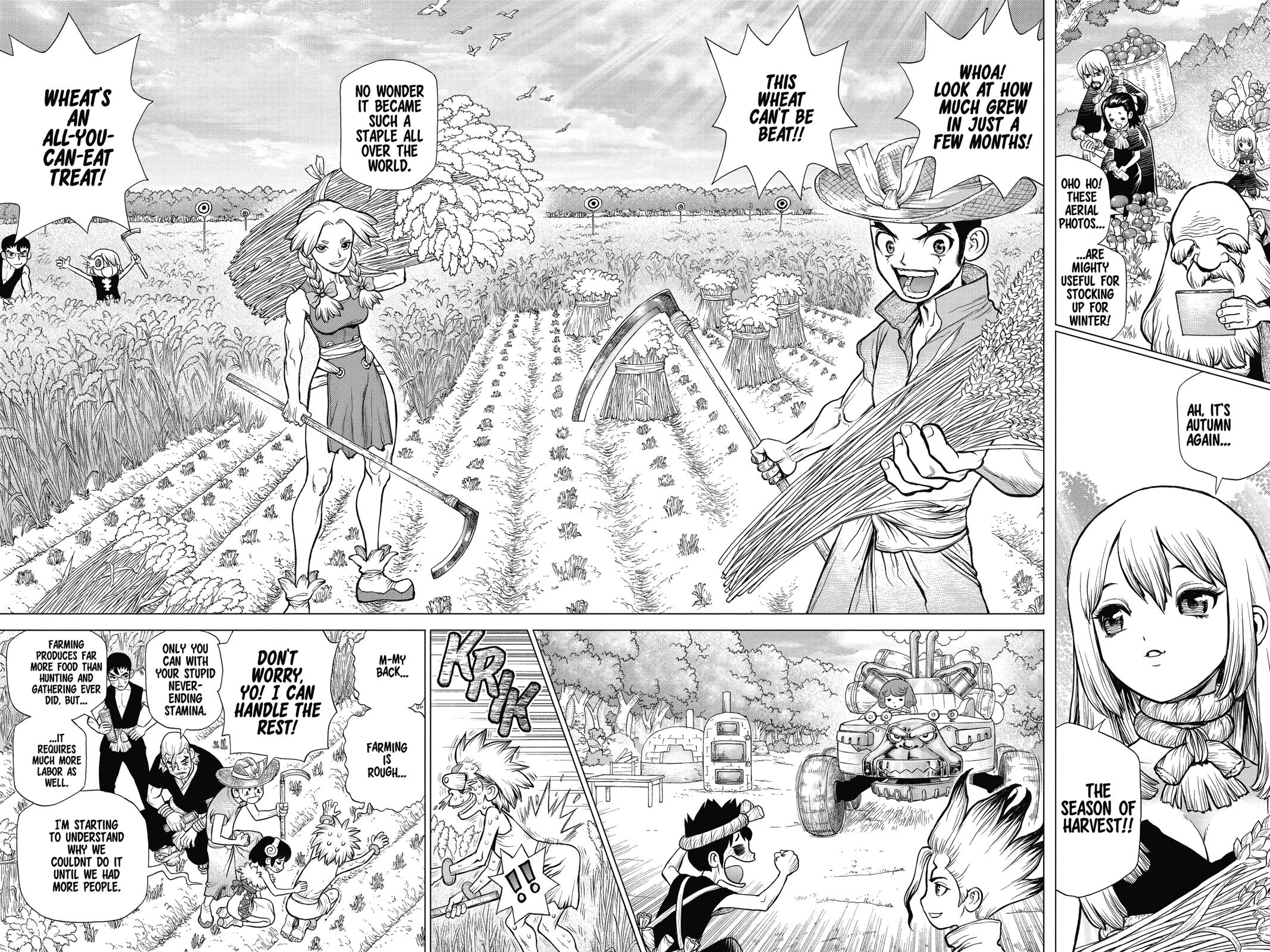 Read Dr. STONE Manga Online