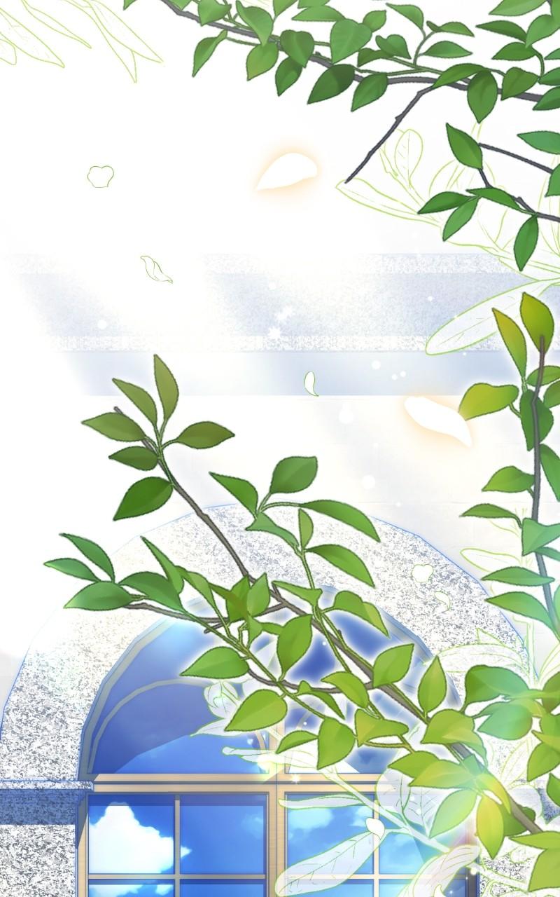 Read Duchess in Ruins Manga Online