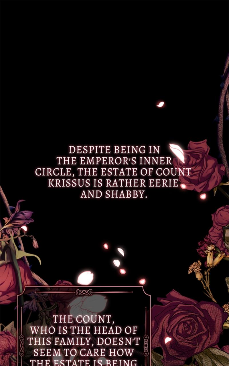 Read Duchess in Ruins Manga Online