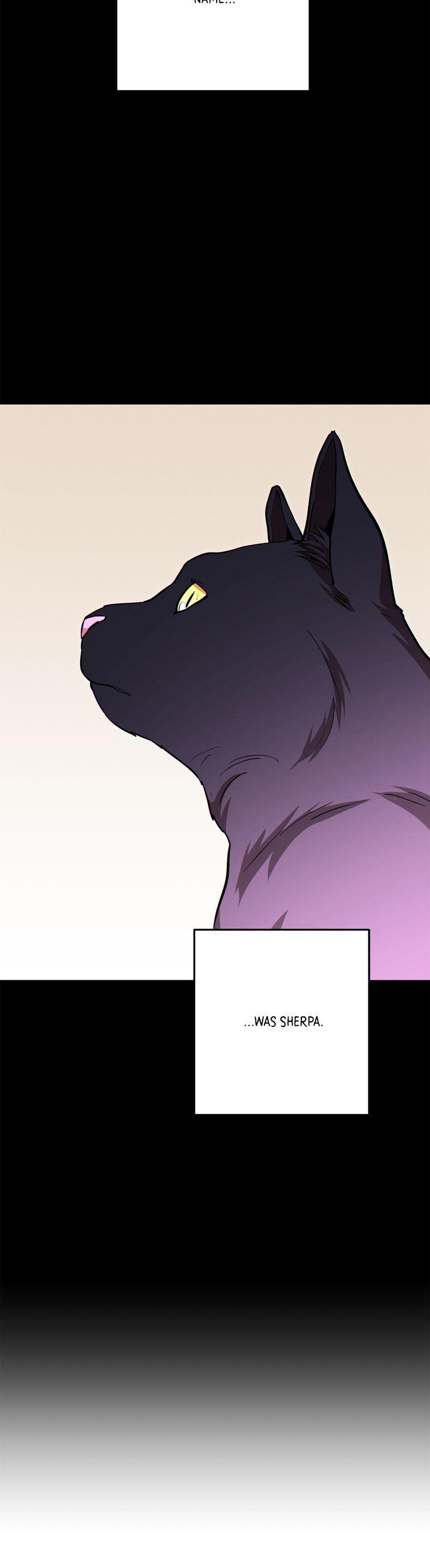 Read Dungeon Reset Manga Online