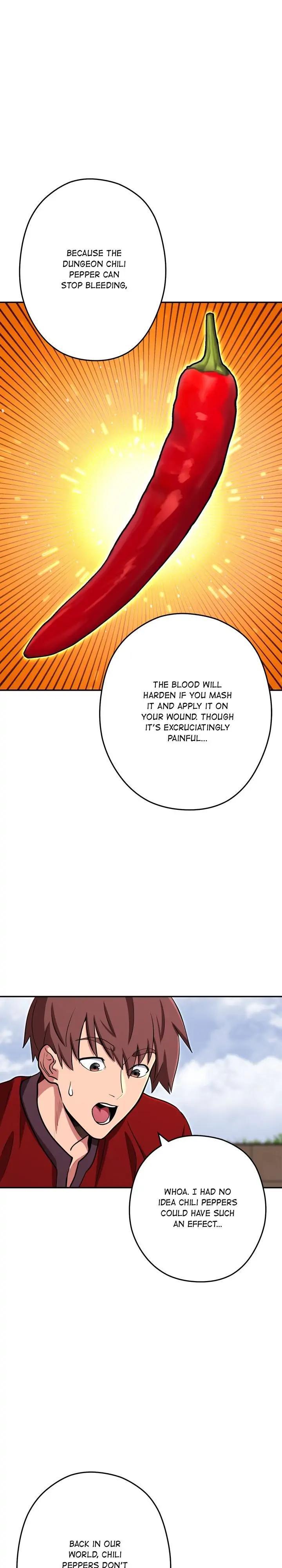 Read Dungeon Reset Manga Online
