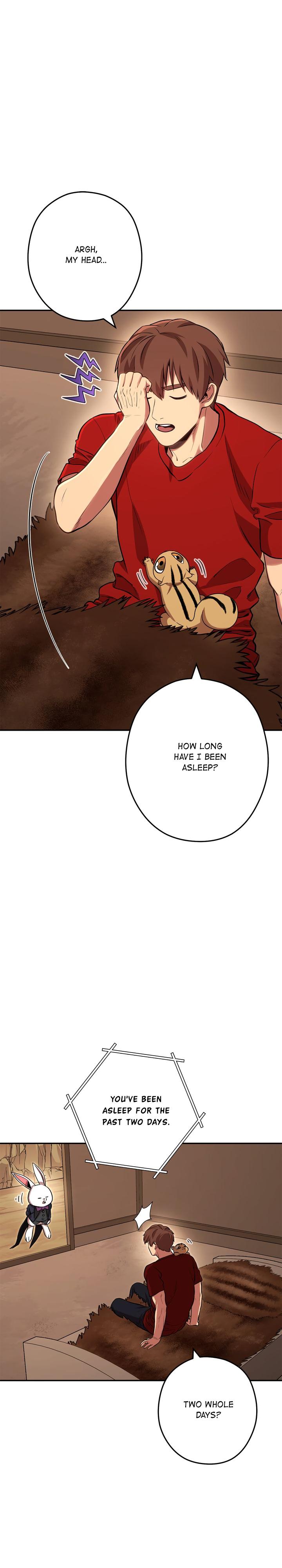 Read Dungeon Reset Manga Online