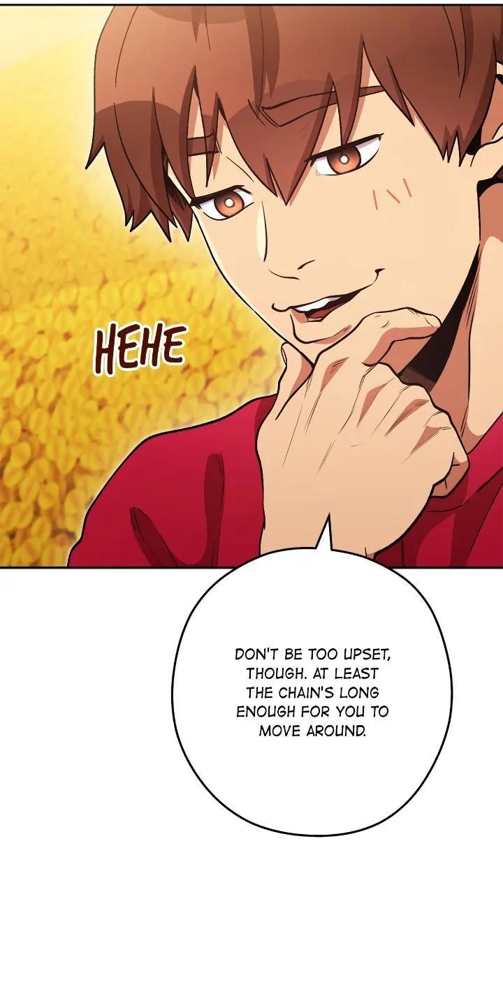 Read Dungeon Reset Manga Online