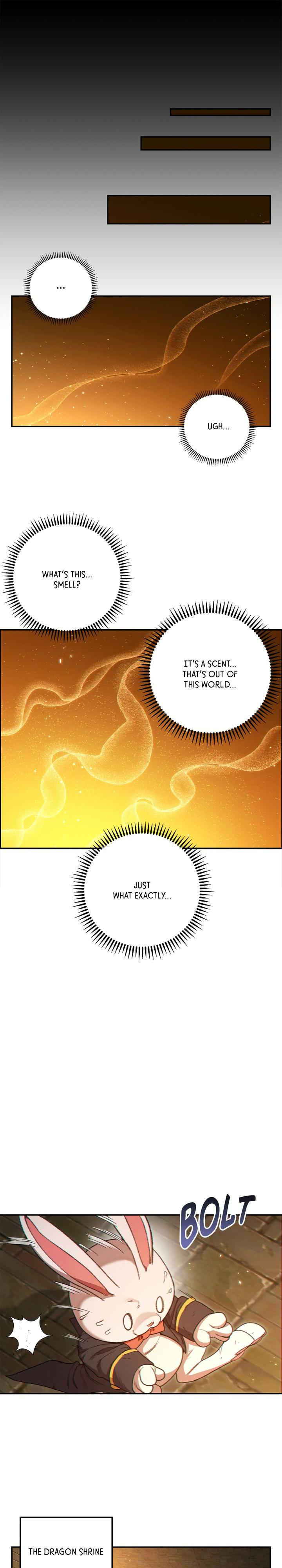Read Dungeon Reset Manga Online