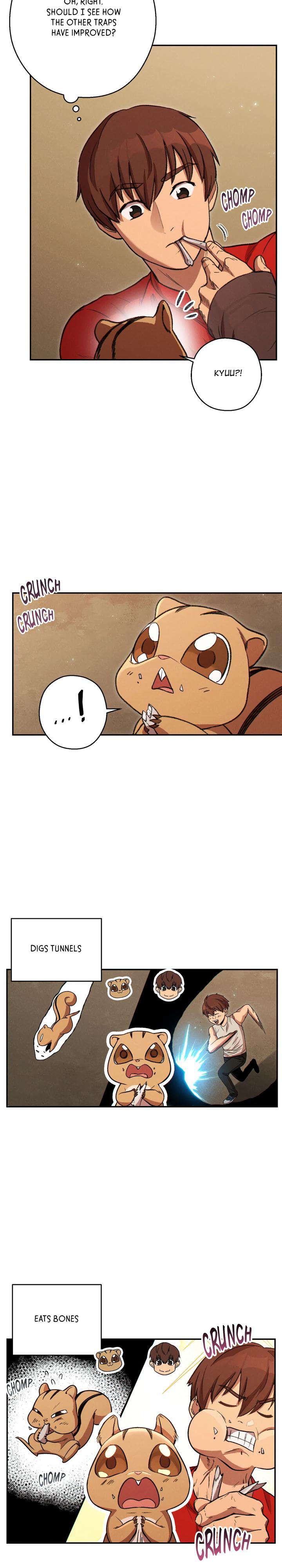 Read Dungeon Reset Manga Online