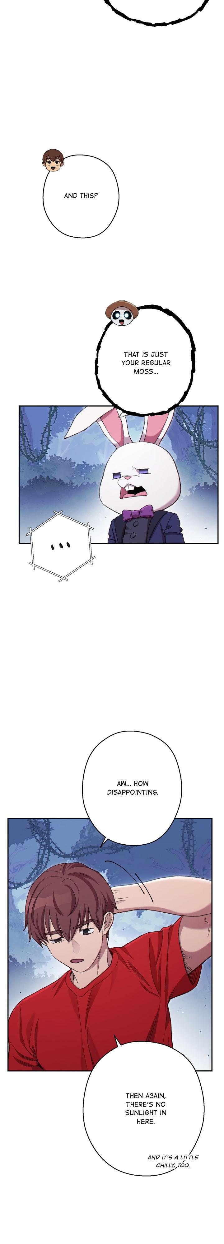 Read Dungeon Reset Manga Online