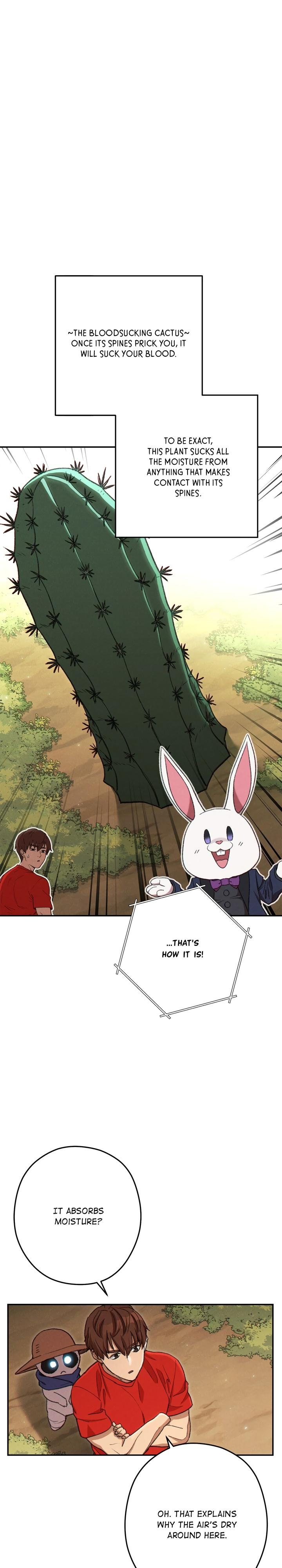 Read Dungeon Reset Manga Online