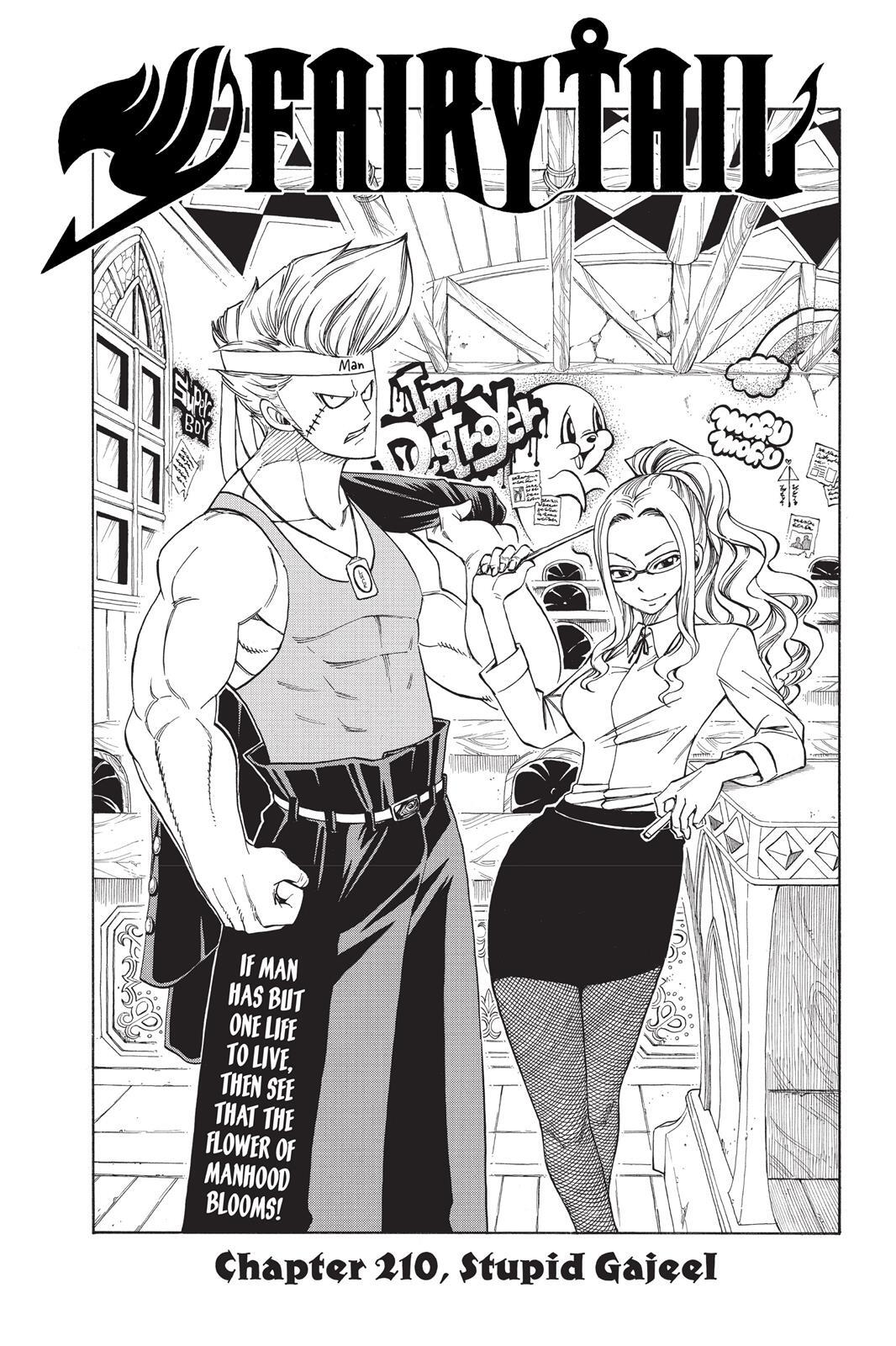 Read FAIRY TAIL Manga Online