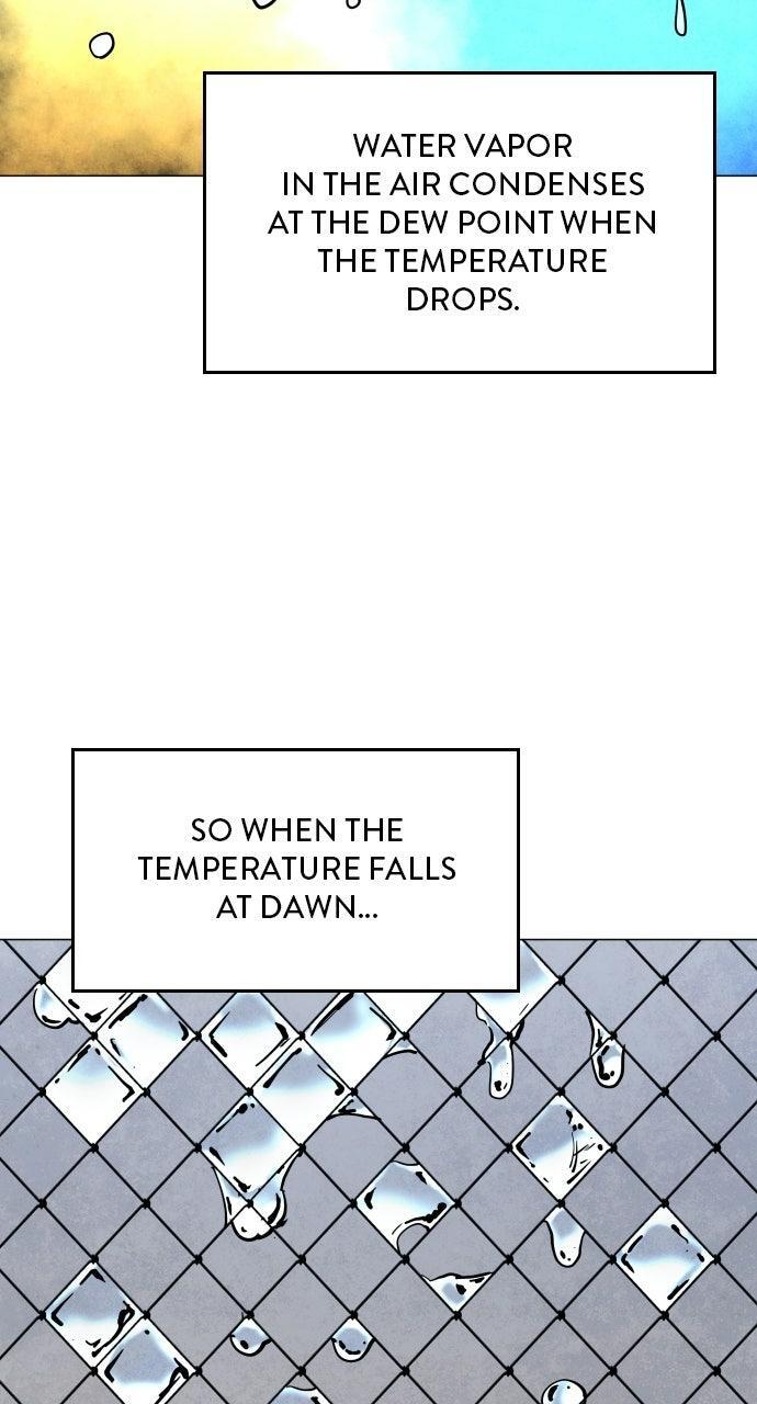 Read Fog Land Manga Online