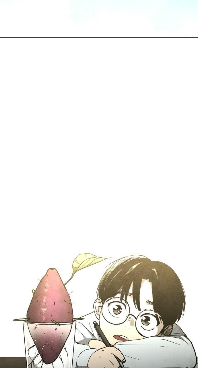 Read Fog Land Manga Online