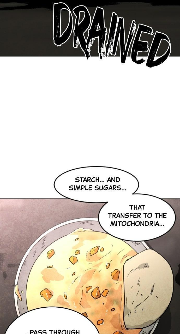 Read Fog Land Manga Online