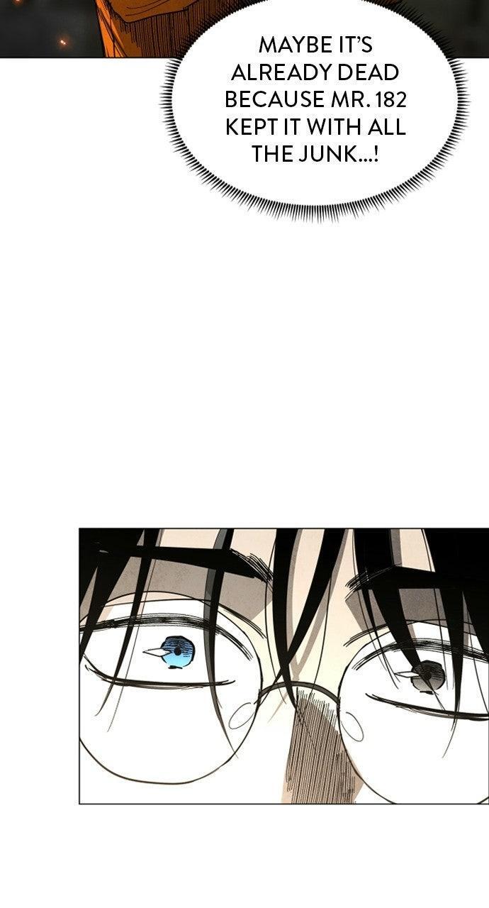 Read Fog Land Manga Online