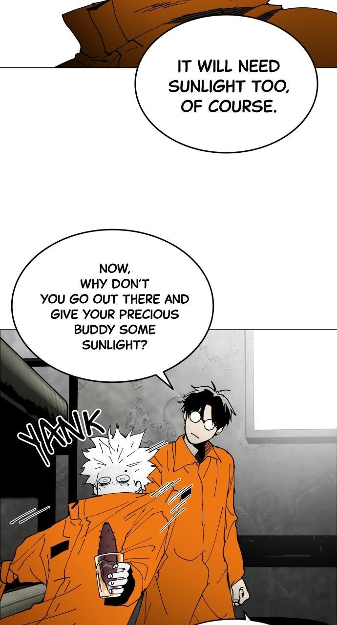 Read Fog Land Manga Online