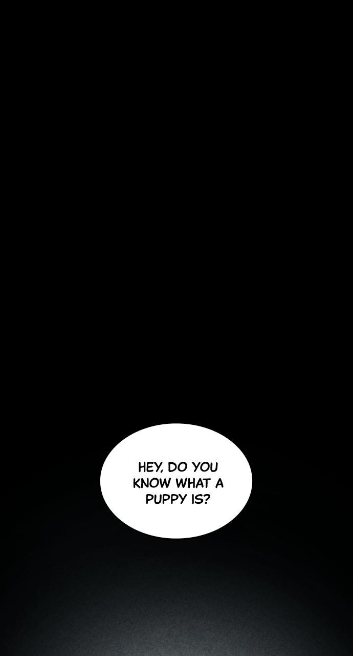 Read Fog Land Manga Online