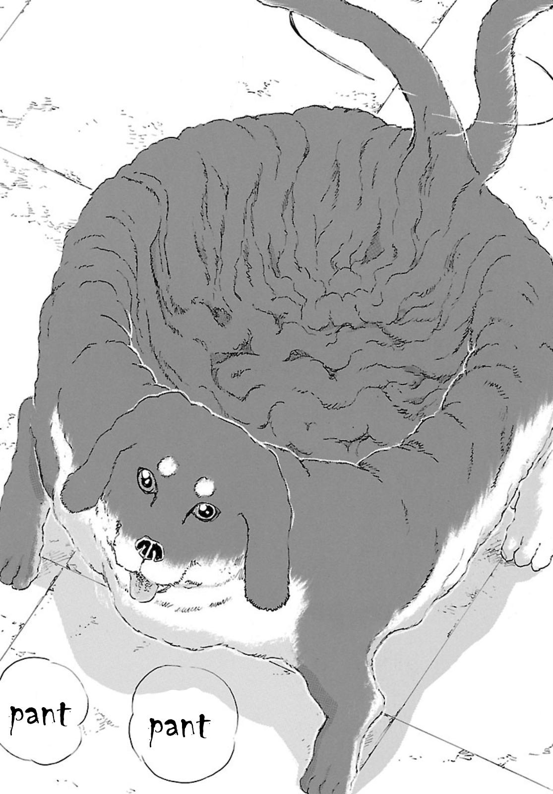 Read Franken Fran Frantic Manga Online