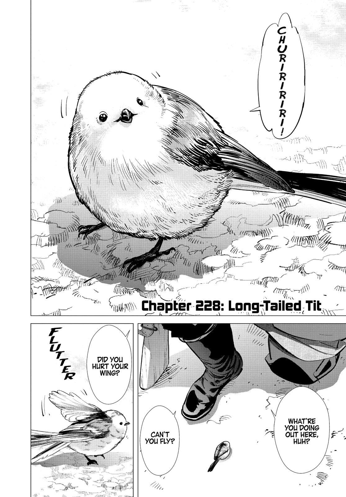Read Golden Kamuy Manga Online