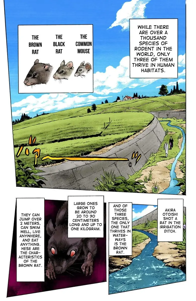 Read JoJo_s Bizarre Adventure Part 4 Diamond Is Unbreakable Official Colored Manga Online
