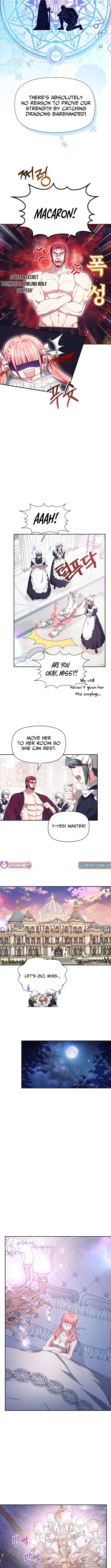 Read Mighty Macaron Wants To Be Meek Manga Online