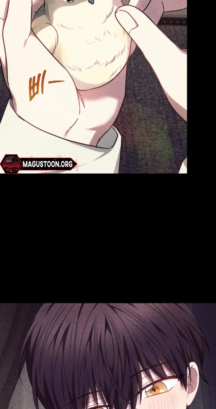 Read Mighty Macaron Wants To Be Meek Manga Online