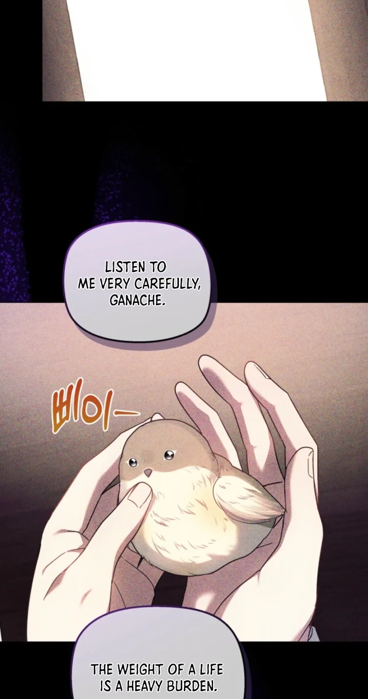 Read Mighty Macaron Wants To Be Meek Manga Online