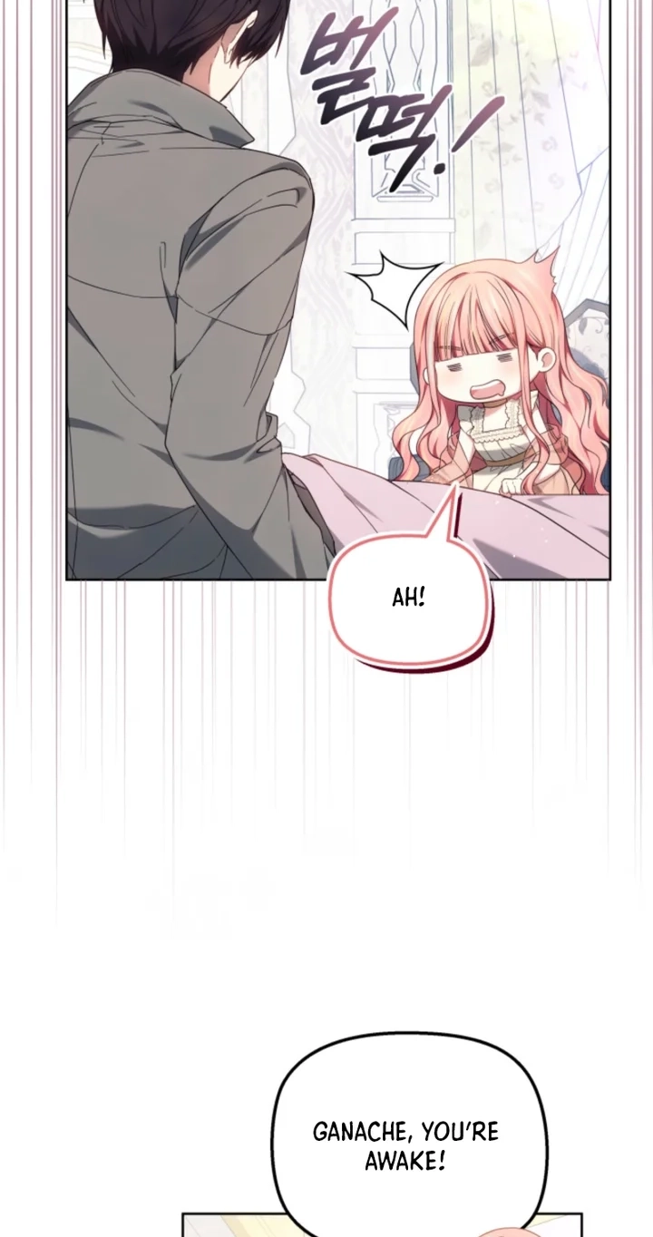 Read Mighty Macaron Wants To Be Meek Manga Online