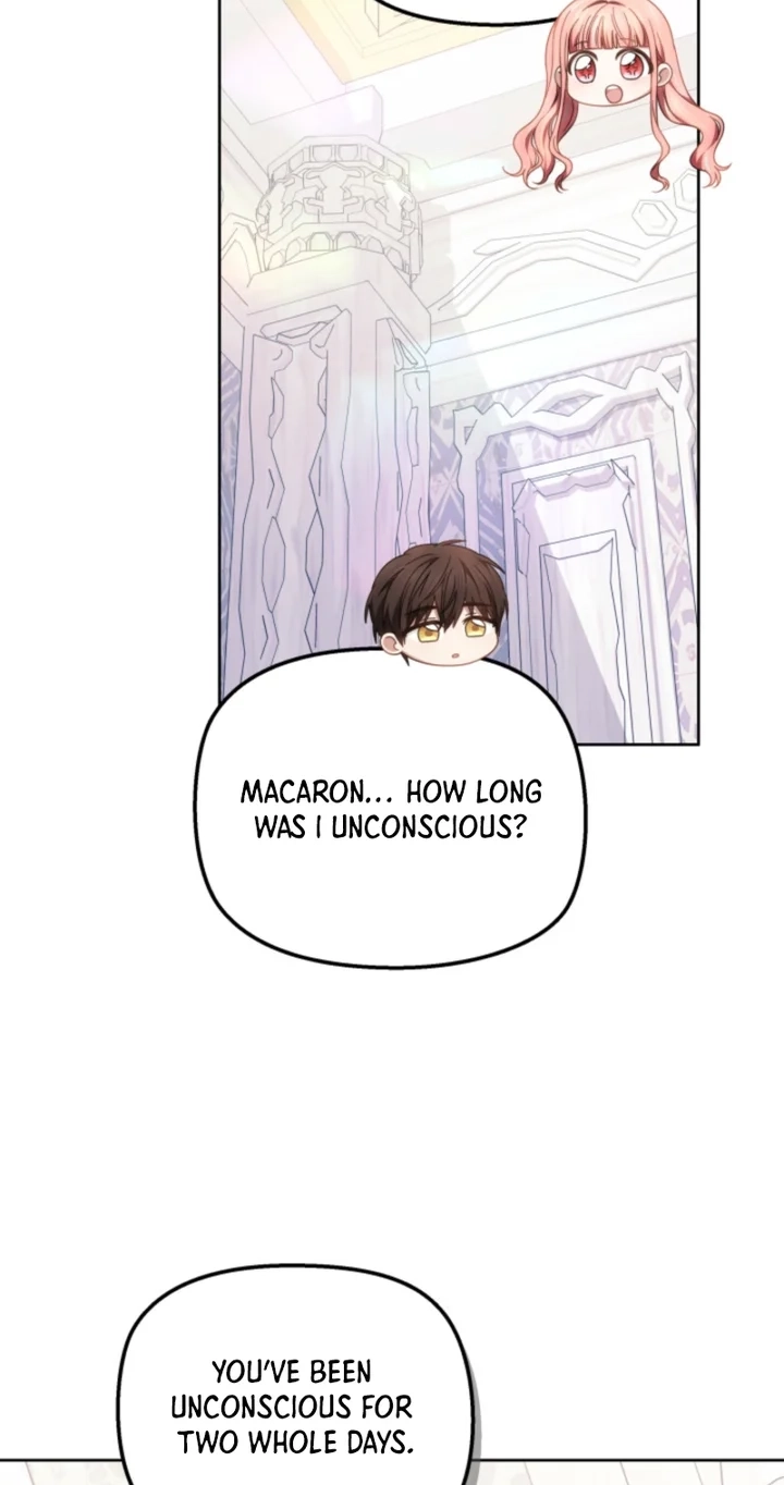Read Mighty Macaron Wants To Be Meek Manga Online