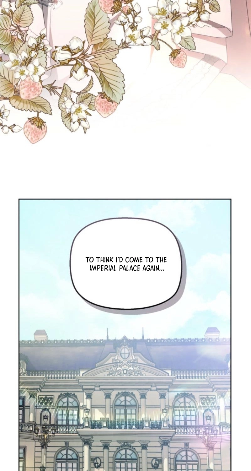 Read Mighty Macaron Wants To Be Meek Manga Online