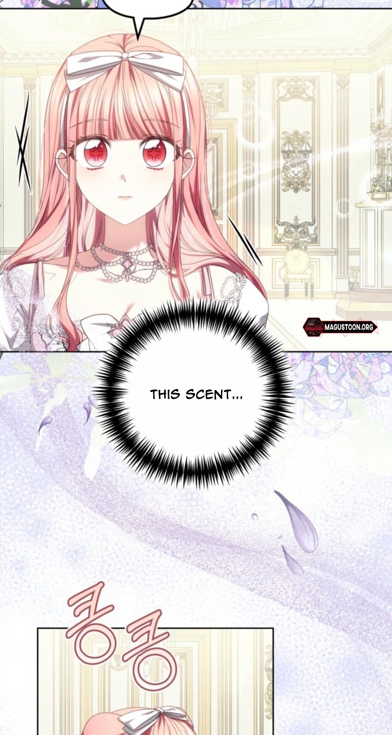 Read Mighty Macaron Wants To Be Meek Manga Online