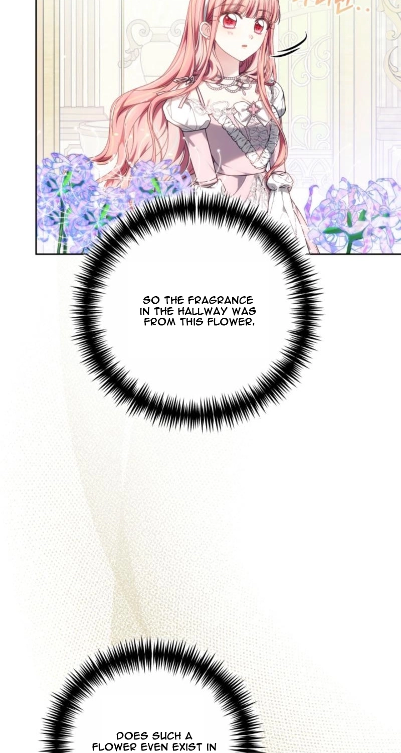 Read Mighty Macaron Wants To Be Meek Manga Online