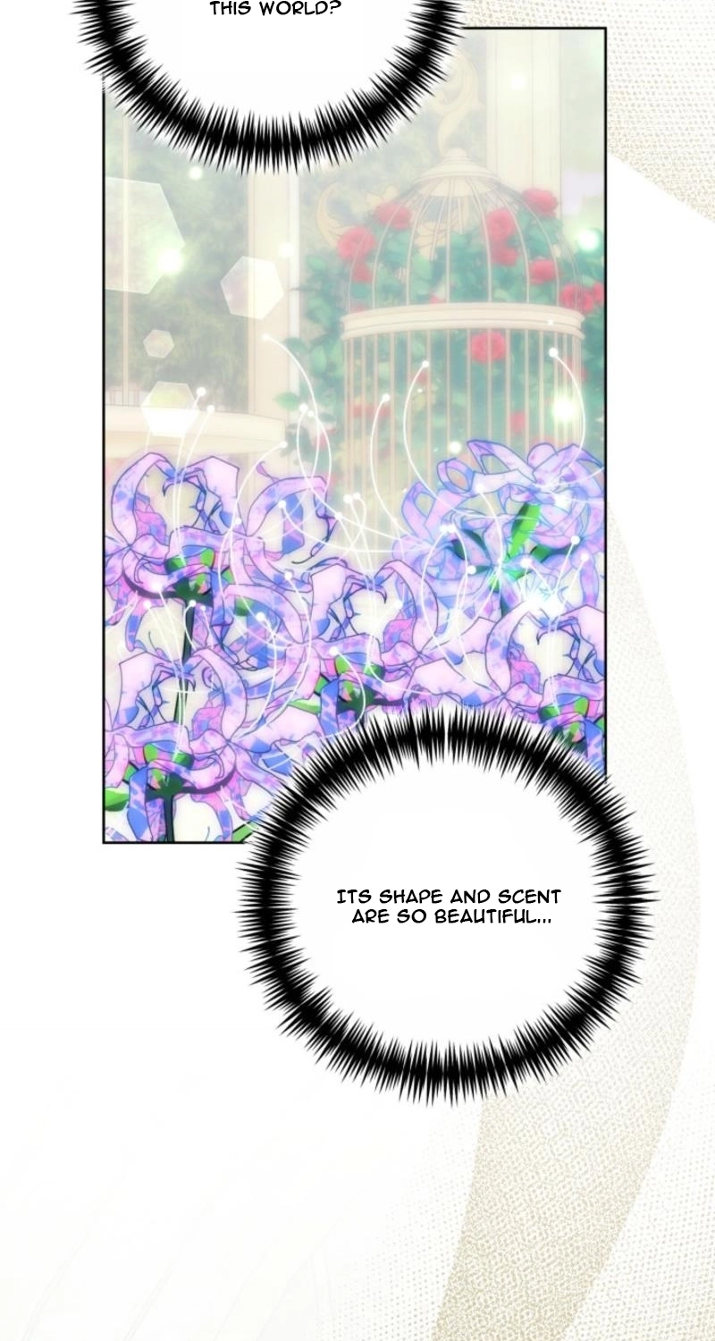 Read Mighty Macaron Wants To Be Meek Manga Online