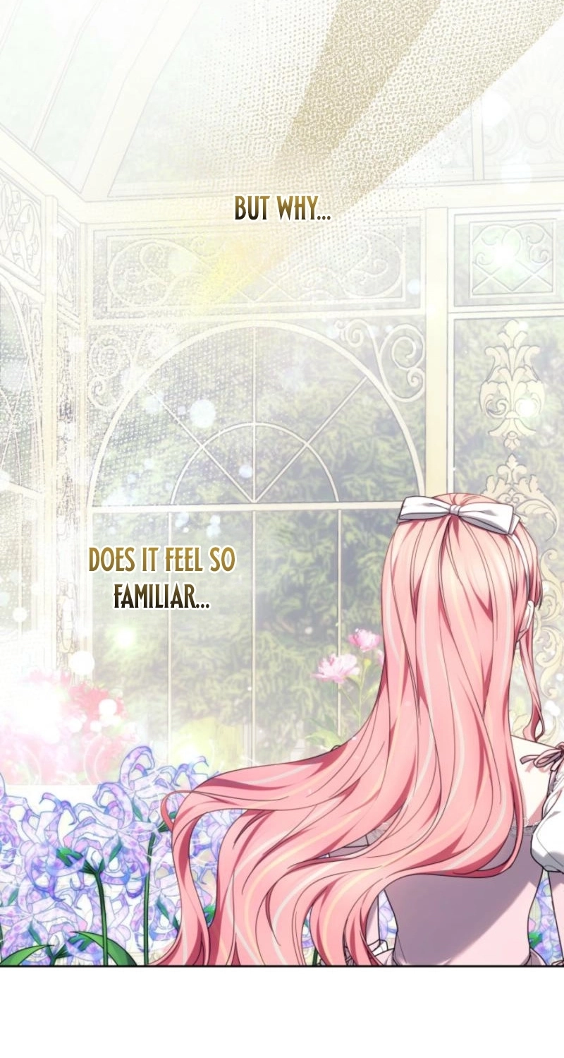 Read Mighty Macaron Wants To Be Meek Manga Online
