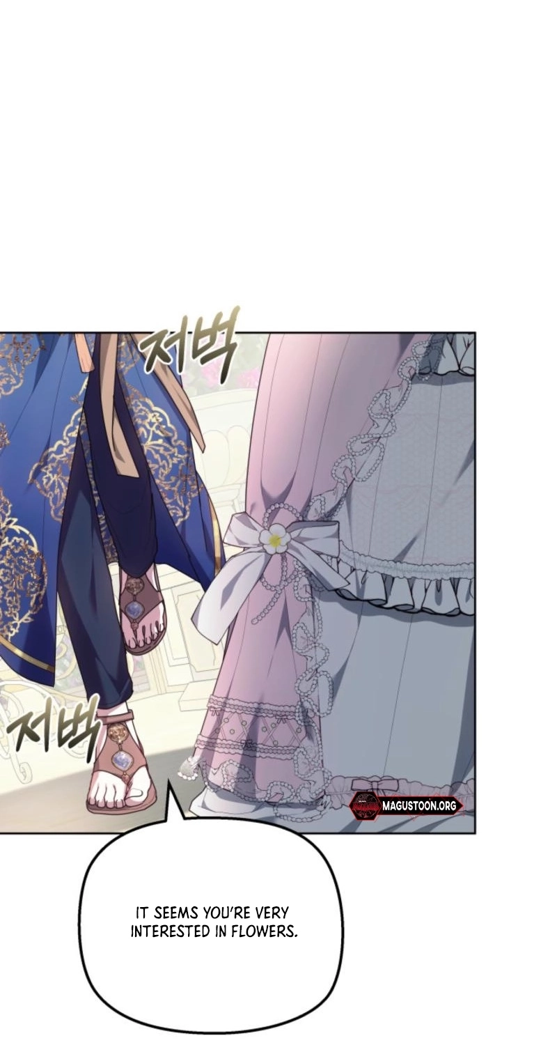 Read Mighty Macaron Wants To Be Meek Manga Online