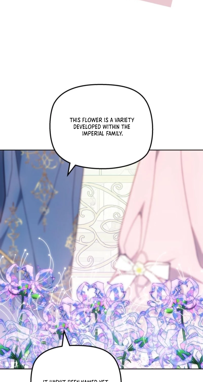 Read Mighty Macaron Wants To Be Meek Manga Online