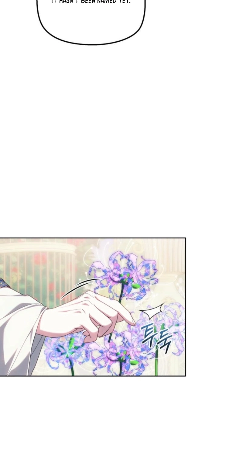 Read Mighty Macaron Wants To Be Meek Manga Online