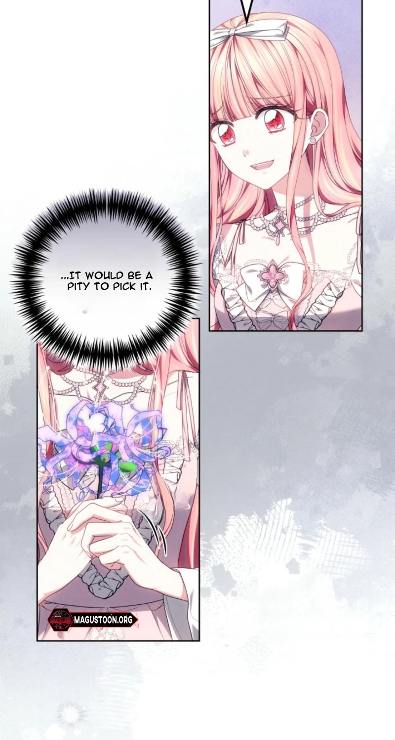 Read Mighty Macaron Wants To Be Meek Manga Online