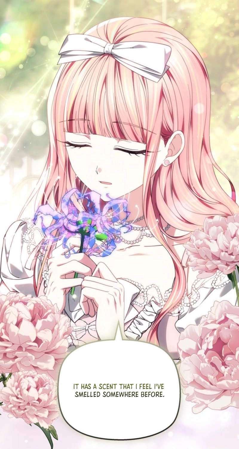 Read Mighty Macaron Wants To Be Meek Manga Online