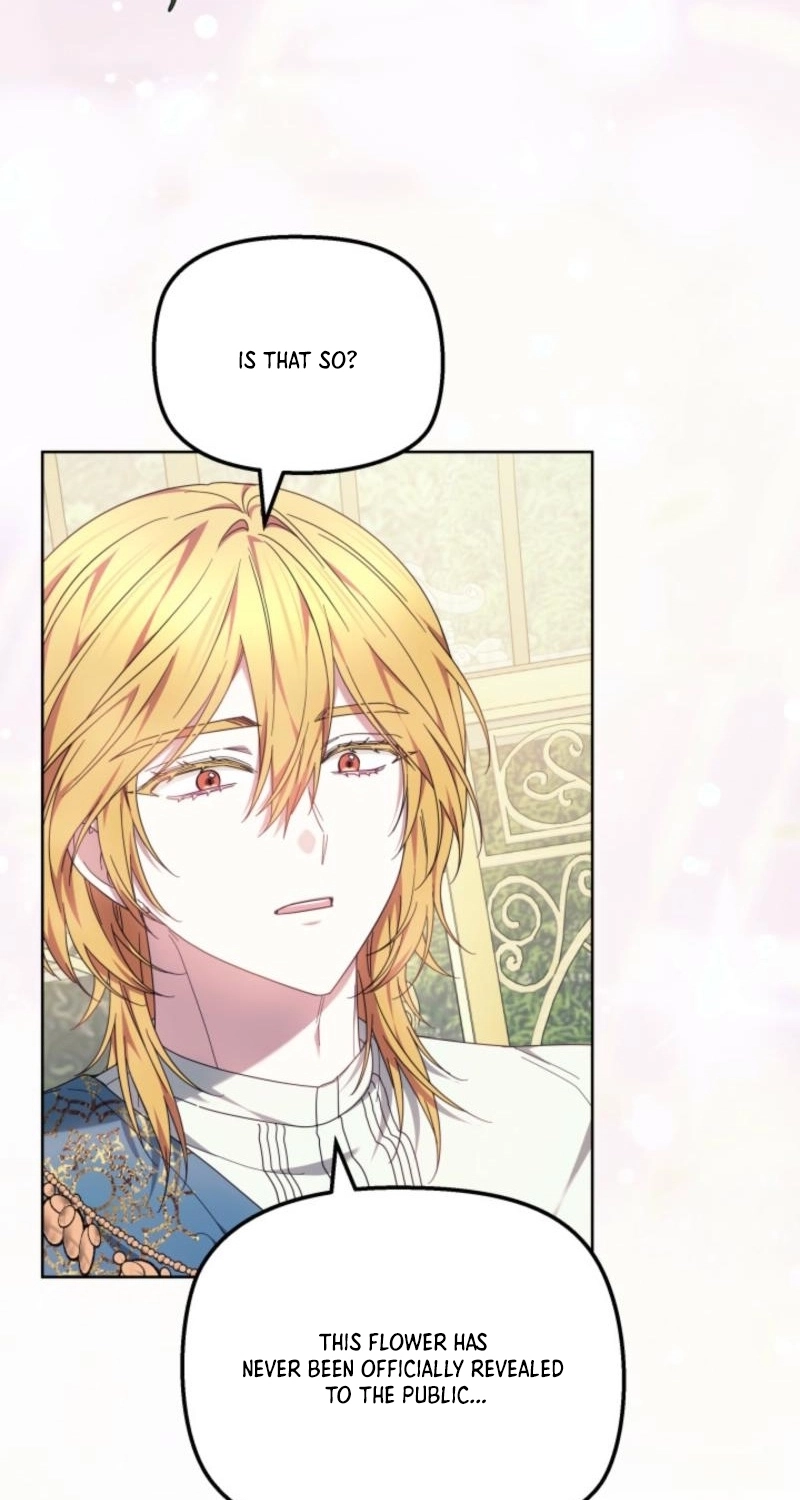 Read Mighty Macaron Wants To Be Meek Manga Online
