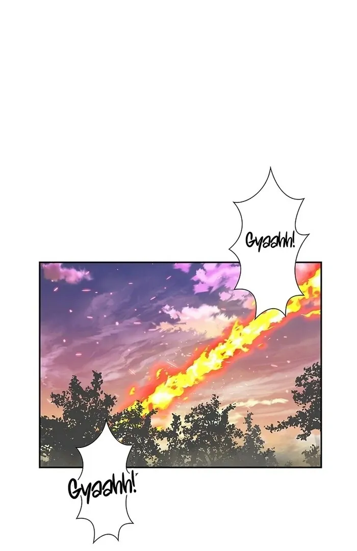 Read Mighty Macaron Wants To Be Meek Manga Online