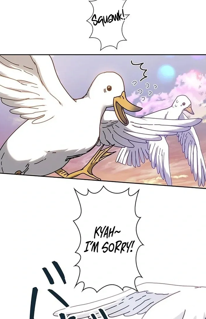 Read Mighty Macaron Wants To Be Meek Manga Online