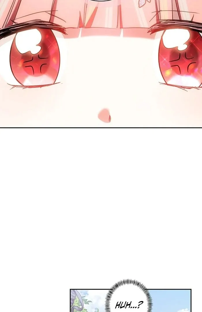 Read Mighty Macaron Wants To Be Meek Manga Online