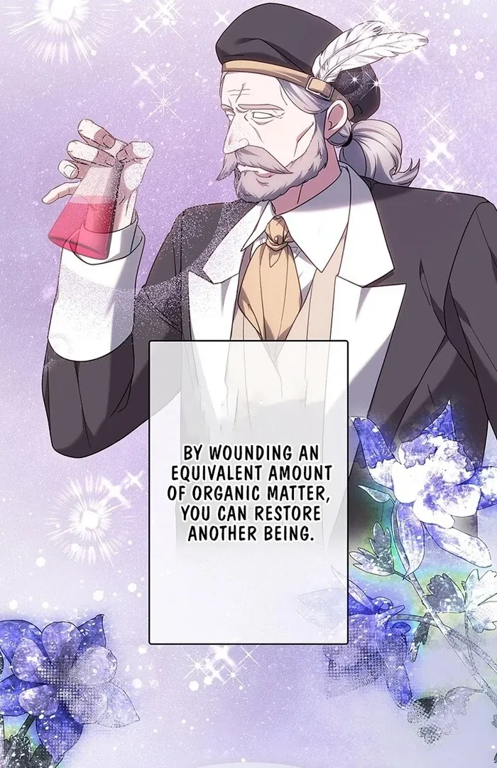 Read Mighty Macaron Wants To Be Meek Manga Online