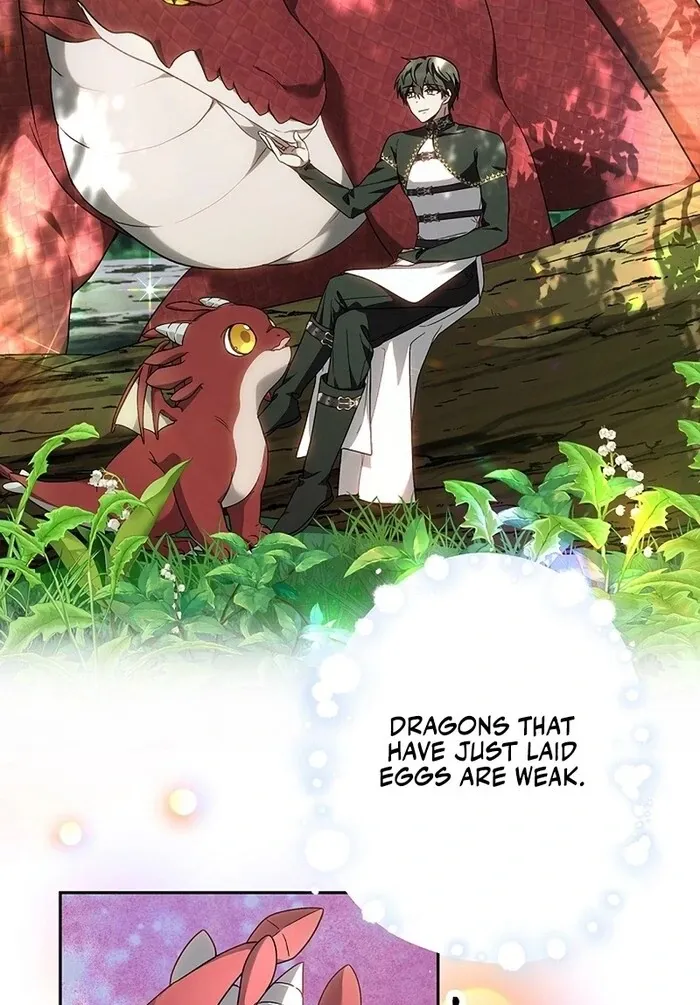 Read Mighty Macaron Wants To Be Meek Manga Online