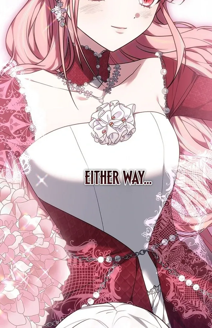 Read Mighty Macaron Wants To Be Meek Manga Online