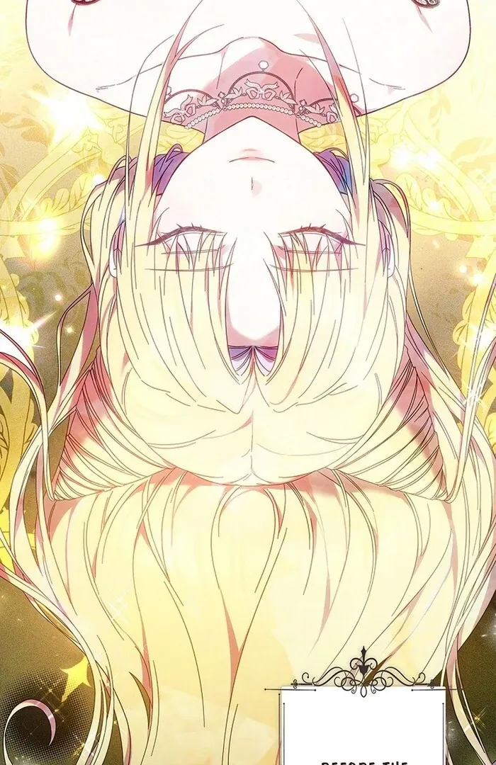 Read Mighty Macaron Wants To Be Meek Manga Online