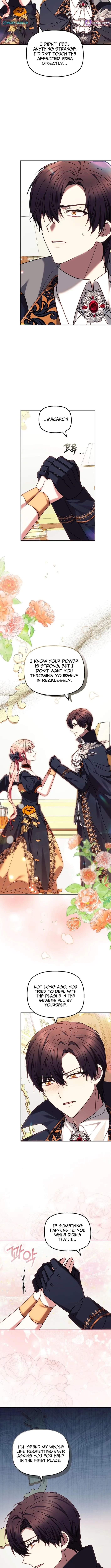Read Mighty Macaron Wants To Be Meek Manga Online