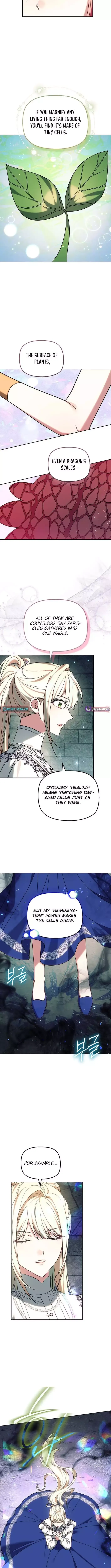 Read Mighty Macaron Wants To Be Meek Manga Online