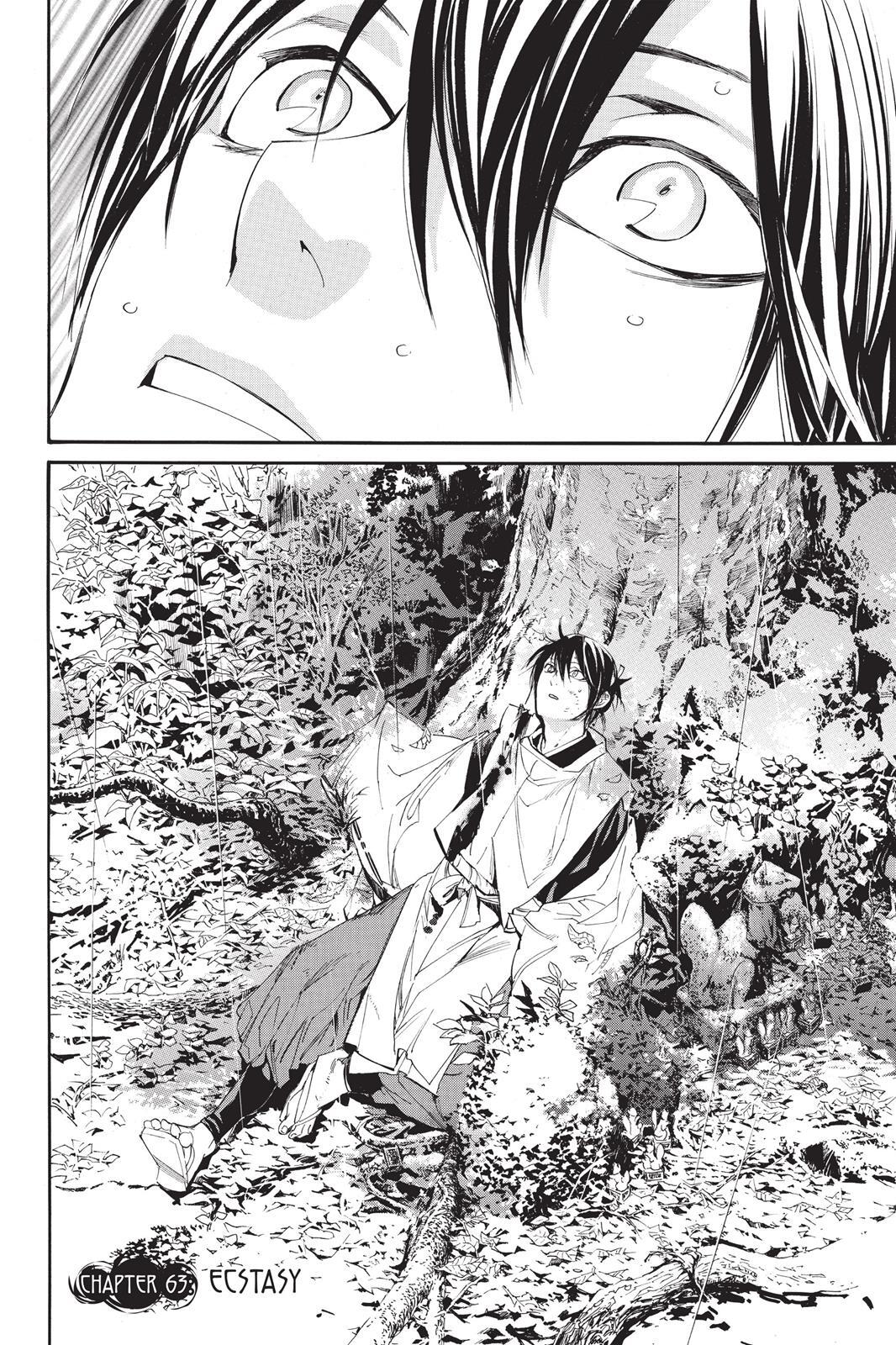 Read Noragami Manga Online