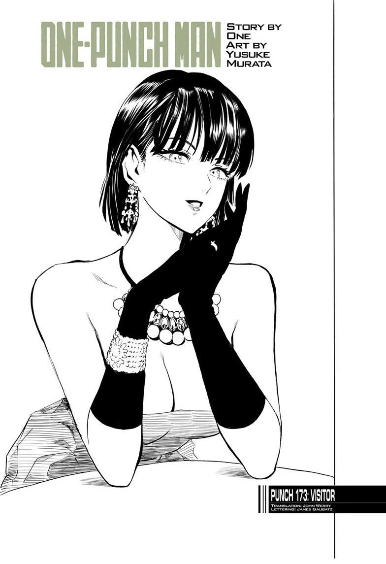 Read One Punch-Man Manga Online